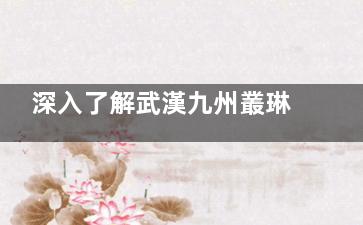 深入了解武漢九州叢琳植發(fā)醫(yī)院：價(jià)格透明的植發(fā)項(xiàng)目與醫(yī)生資歷詳解！